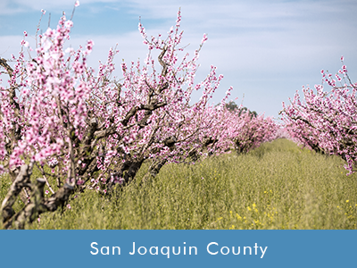 San Joaquin County